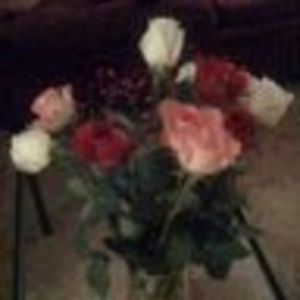 Meet your Posher, Tania